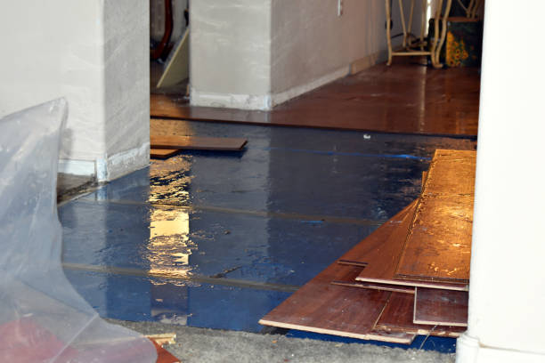Professional Water Damage Repair technician working in Alpine, NJ